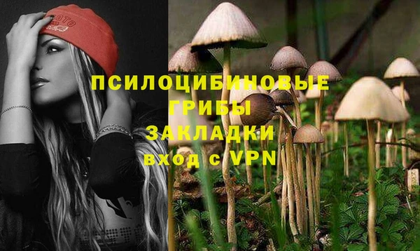 ешки Алексин