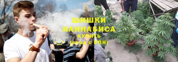 ешки Алексин