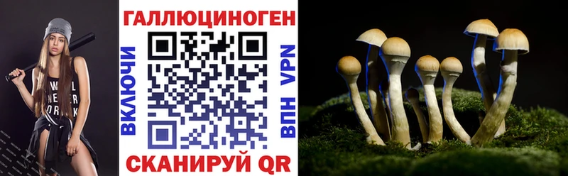 что такое наркотик  Плавск  Псилоцибиновые грибы Magic Shrooms 